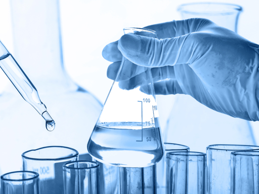 Shandong Risun Biotechnology Co. LTD
